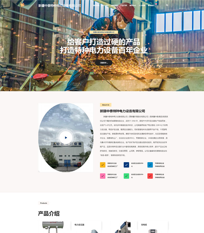 新疆中泰特种电力设备有限公司